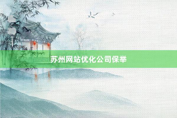 苏州网站优化公司保举