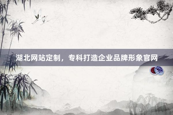 湖北网站定制，专科打造企业品牌形象官网