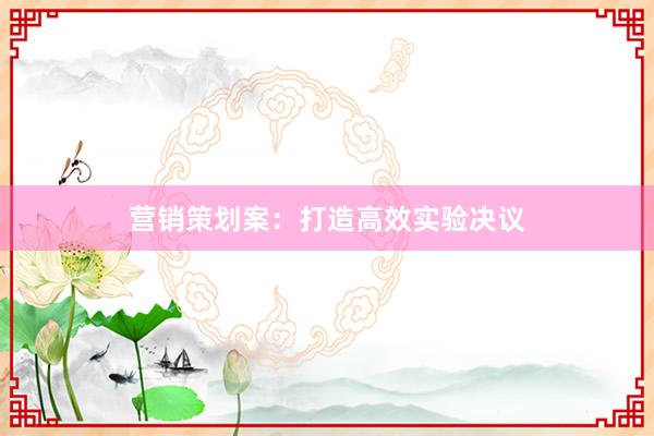 营销策划案：打造高效实验决议