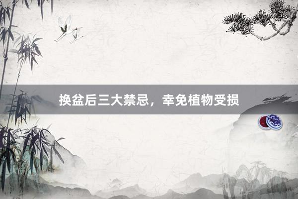 换盆后三大禁忌，幸免植物受损