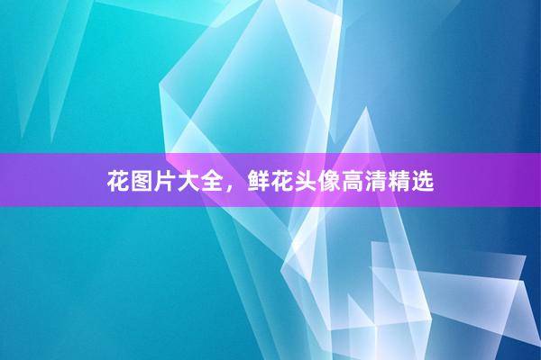 花图片大全，鲜花头像高清精选