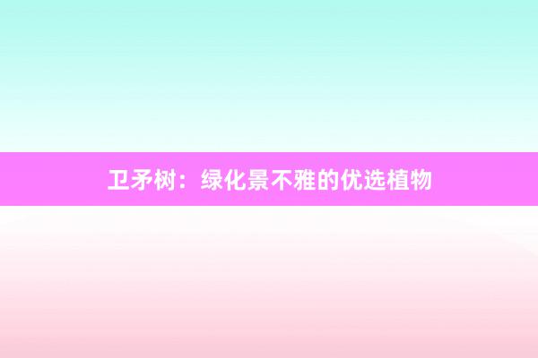 卫矛树：绿化景不雅的优选植物